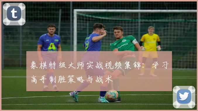 象棋特级大师实战视频集锦：学习高手制胜策略与战术