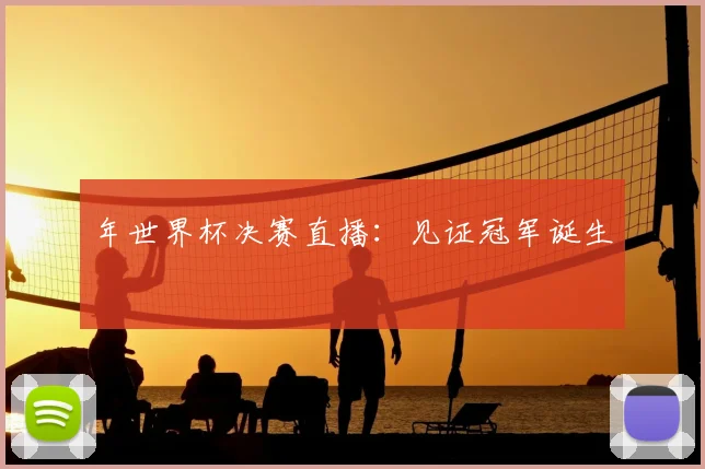 年世界杯决赛直播：见证冠军诞生