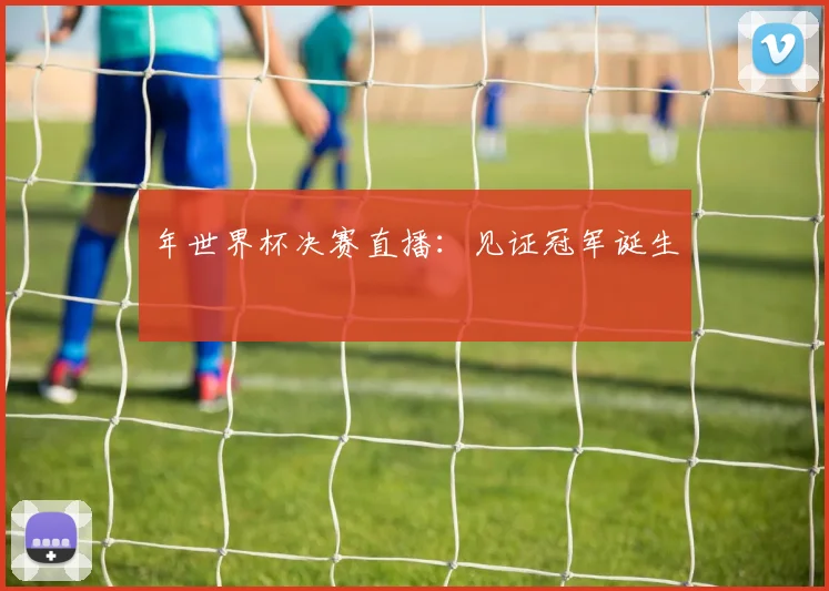 年世界杯决赛直播：见证冠军诞生